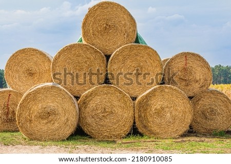 Similar – Image, Stock Photo Hay rolls (hay bales) on a field, aerial view