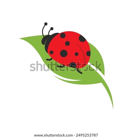 Similar – Image, Stock Photo Little ladybug on a grass leave