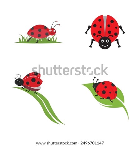 Similar – Image, Stock Photo Little ladybug on a grass leave