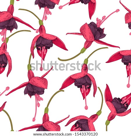 Fuchsia. Seamless floral pattern with tropical flowers. Template design for textiles, interior, clothes, wallpaper. Vector illustration.  Botanical art.  Engraving style
