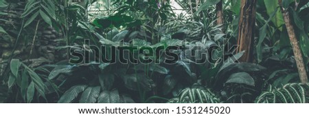 Similar – Image, Stock Photo Greenhouse glasshouse sunny interior full of fresh green plants. Modern interior architecture design. Natural Indoor decorative plants. Lush botanical garden. Beautiful spring background.