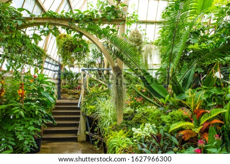 Similar – Image, Stock Photo Greenhouse glasshouse sunny interior full of fresh green plants. Modern interior architecture design. Natural Indoor decorative plants. Lush botanical garden. Beautiful spring background.