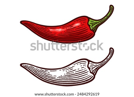 Hand Drawn Chili Pepper, Line Art Engraving Style Vector Illustration, Monochrome and Color Versions