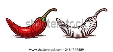 Hand Drawn Chili Pepper, Line Art Engraving Style Vector Illustration, Monochrome and Color Versions