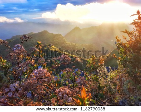 DOI LUANG CHIANG DAO, At Chiangmai in Thailand, This limestone mountain at 2,225 m. and the third highest in Thailand. In winter there is a view of the mist. It is a very beautiful place. DEC 11, 2018 Photo stock © 