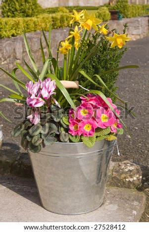 stainless steel bucket with a flower arrangement inside