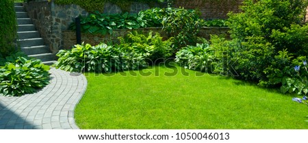 Image, Stock Photo Walking between tree + bark