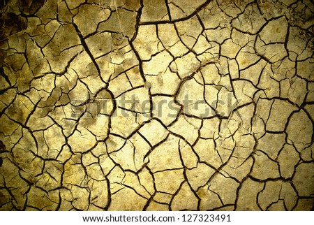 Parched, cracked soil in the hot sun.