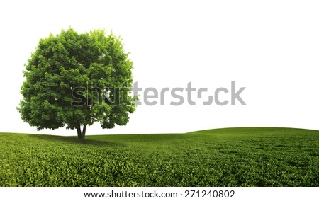 Similar – Image, Stock Photo Lonely leaf Nature