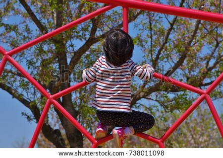 jungle free stock photo public
