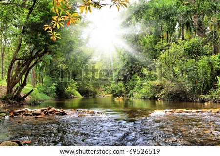River in jungle, Thailand