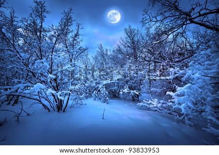 Similar – Image, Stock Photo winter dream Winter Forest