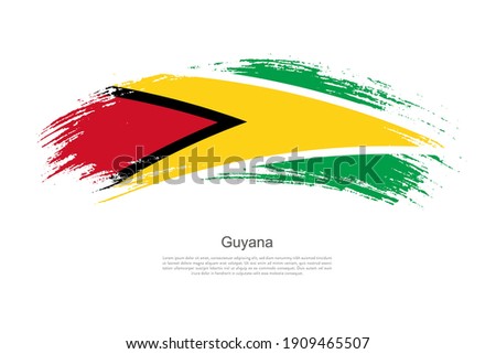 Curve style brush painted grunge flag of Guyana country in artistic style