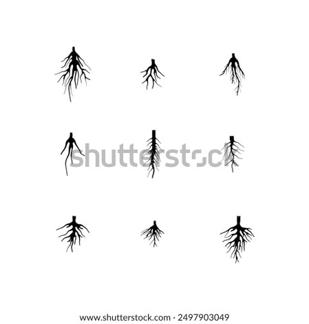 Root, taproot vector isolated, tap root icon set.