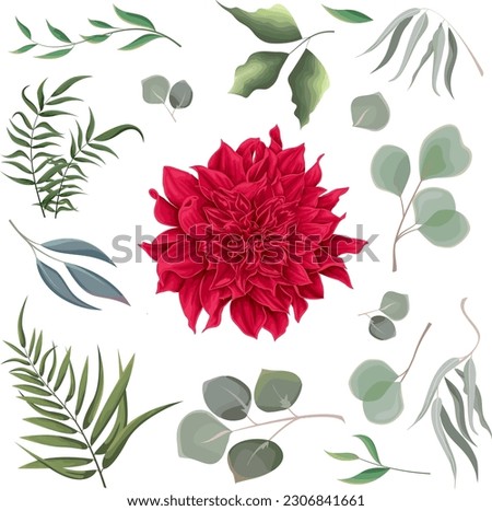 Similar – Image, Stock Photo Buds of red dahlias. Flowering shrubs of dahlia in the form of a flower bed in the garden