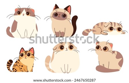 Set of vector illustrations in cartoon style. Super Cute cats with big eyes on white background
