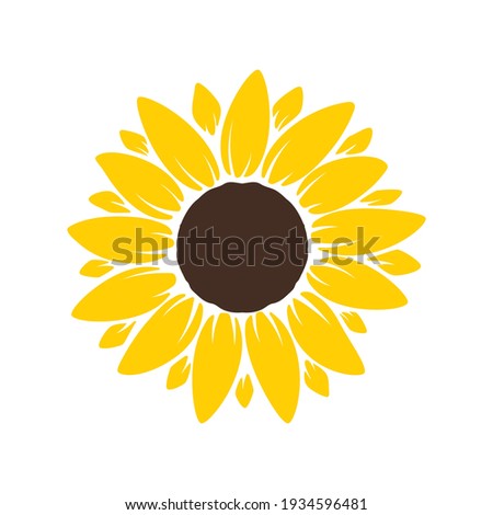 Vector yellow sunflower. Sunflower silhouette text frame Isolated on white background.