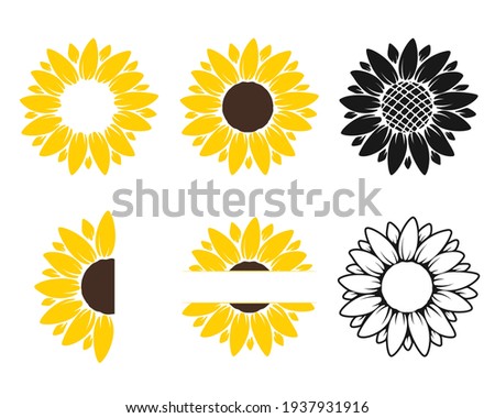 
Vector yellow sunflower. Sunflower silhouette text frame Isolated on white background.