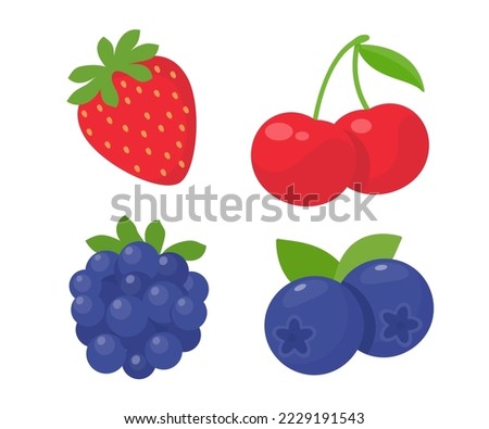 Blueberry vector. Fresh berries. Healthy fruits contain antioxidants.