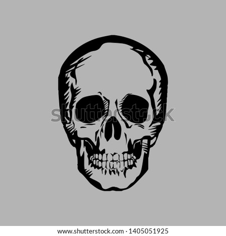 human skull on gray background. vector drawing for illustrations
