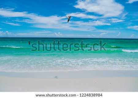 Similar – Image, Stock Photo Seagulls flying over my head in Berlin