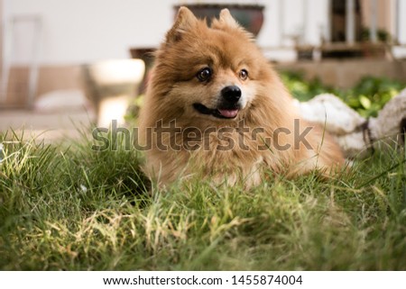 Shutterstock Puzzlepix