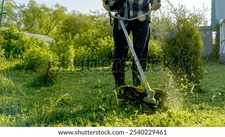 Similar – Image, Stock Photo Tools for gardening at home. Growing food on windowsill. Copyspace for text. Top view. Flatlay on pink background.