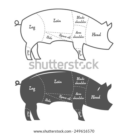 Detailed Illustration, Diagram, Scheme Or Chart Of Pork Cuts ...