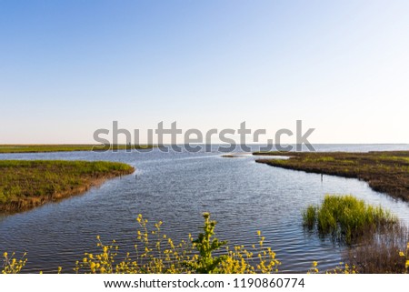 Similar – Image, Stock Photo Landscape of Evros river in Greece.