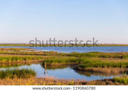 Similar – Image, Stock Photo Landscape of Evros river in Greece.