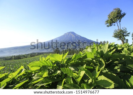 Shutterstock Puzzlepix