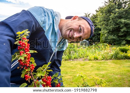 Similar – Image, Stock Photo Man picking red currants from a bush