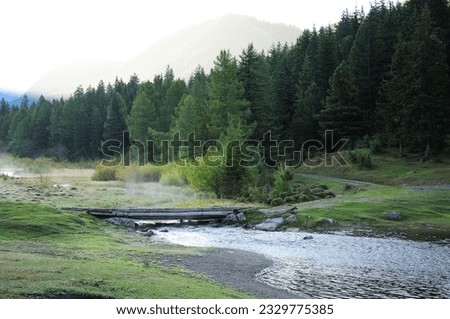 Similar – Image, Stock Photo Shallow river flowing along rocky shore in bright day