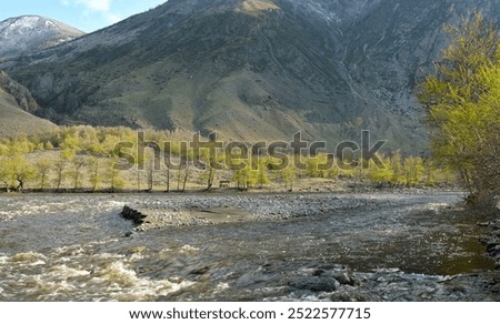 Similar – Image, Stock Photo Shallow river flowing along rocky shore in bright day