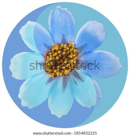 Shutterstock Puzzlepix