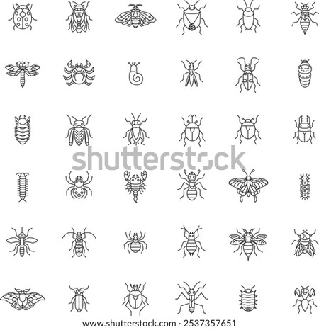 Line drawing mini insect illustration icon set