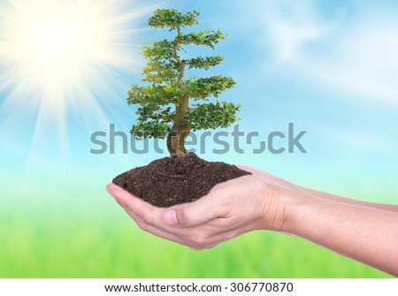 Human hands holding large trees growing in soil on Nature Backgrounds