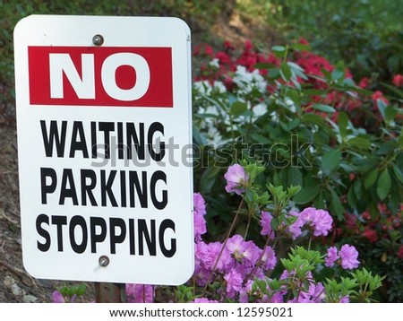A Close-up view of a 'No waiting, No Stopping, No Parking' sign in front of a bed of wild flowers