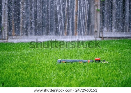 Similar – Image, Stock Photo Oscillation Garden