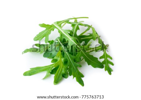 Rucola isolated on white background  ストックフォト © 