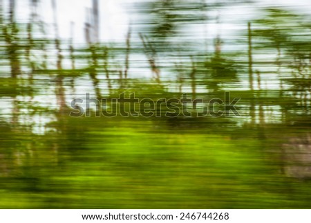 Dynamic green background with abstract pattern vertical and horizontal lines \
Motion background with green texture and blurred lines for wallpaper
