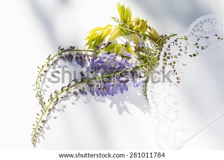 Aerial view lilac wisteria flowers covered with romantic white lace \
Blue Japanese wisteria bouquet for wedding, birthday, valentine\'s day love gift concept, natural light