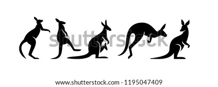  kangaroo logo icon designs vector