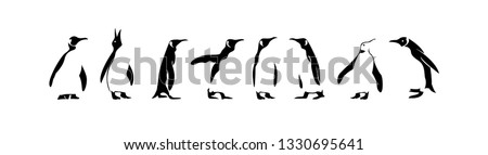 penguin set of pose  logo icon designs vector illustration silhouette