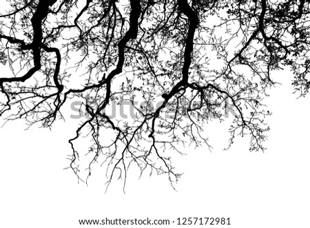 Bare Trees Clipart | Free download on ClipArtMag