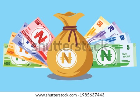 Nigerian Naira Banknotes Money sack bag Icon vector. Nigeria Currency, economy, investment, finance, and business element. Can be used for web, mobile, infographic and print.