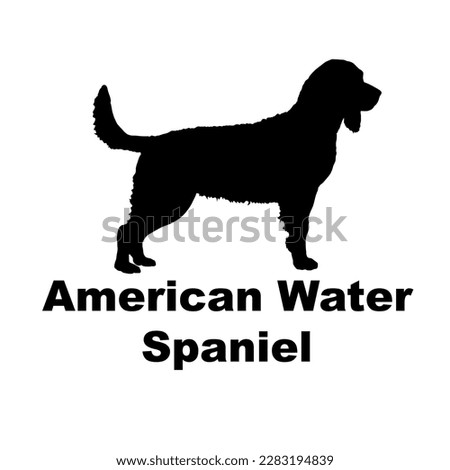 american water spaniel silhouette dog breed