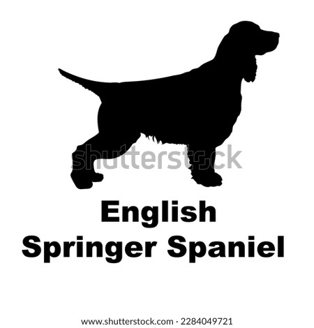 english springer spaniel Dog silhouette vector. Dog breeds