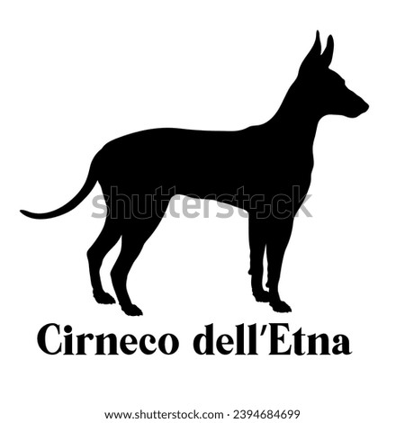 Cirneco dell’Etna Dog silhouette dog breeds logo dog monogram logo dog face vector