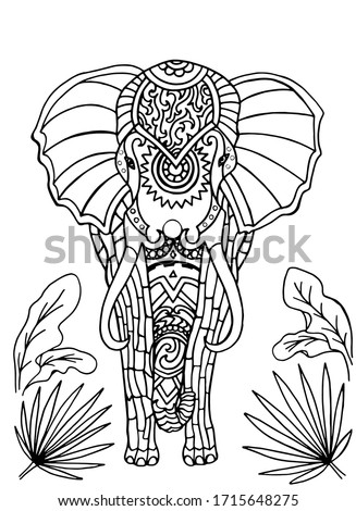 Adult Coloring Pages Elephant At Getdrawings Free Download